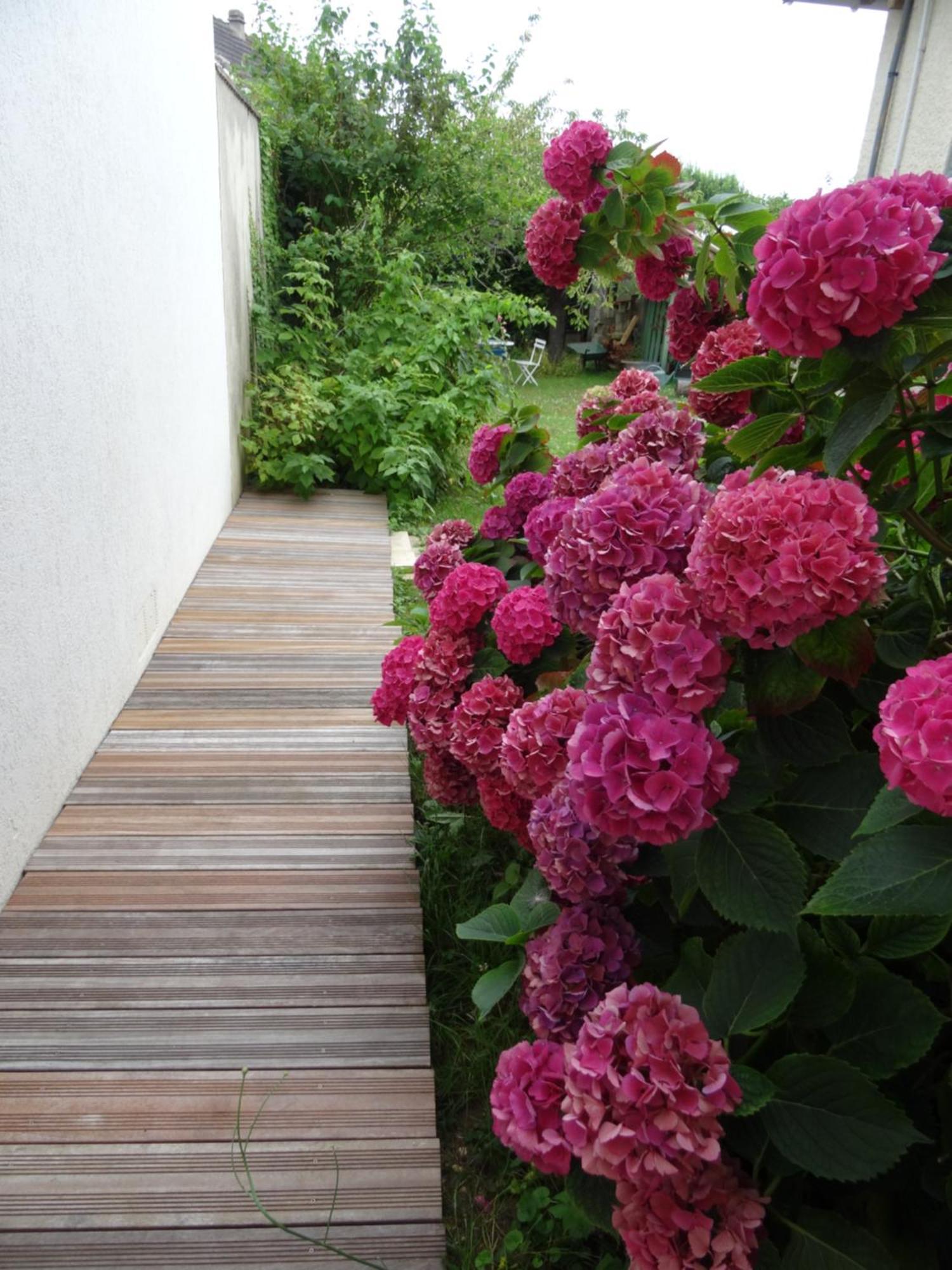 Maison D'Hotes Les Roses Tremieres Saclay Exteriér fotografie